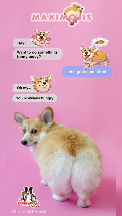 Screenshot #1 pour MaxiMojis - Corgi dog stickers