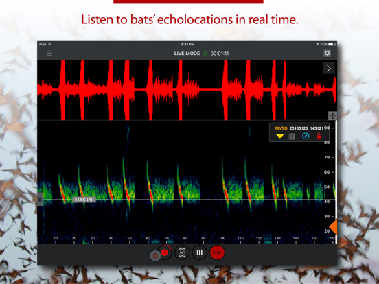 Echo Meter Touch Bat Detectorのおすすめ画像2