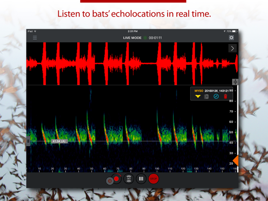 Screenshot #5 pour Echo Meter Touch Bat Detector