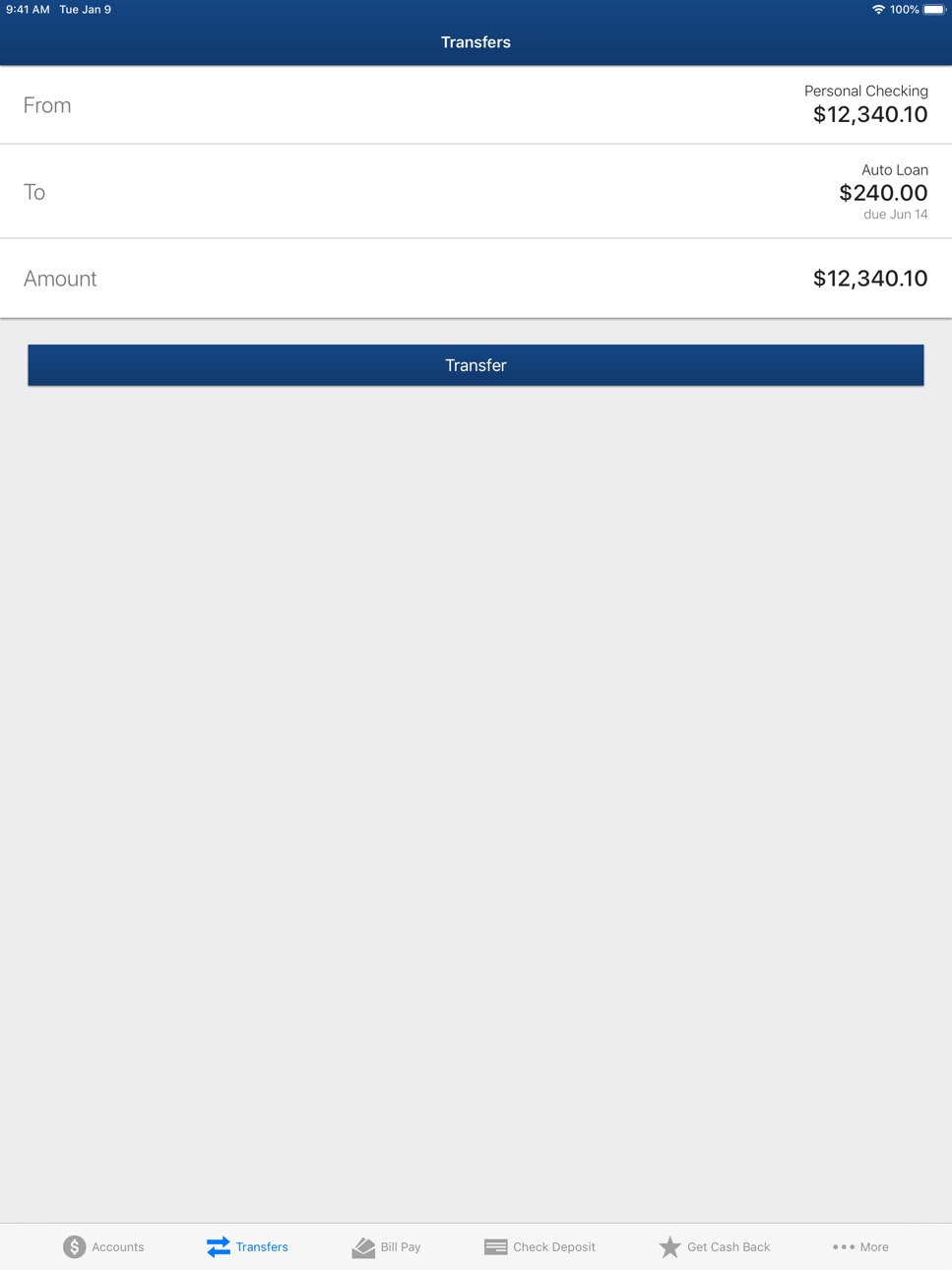 iPad screenshot
