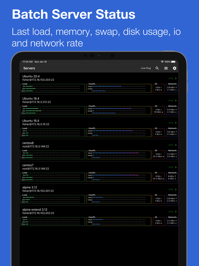 ‎ServerDog: Status, Terminal Screenshot