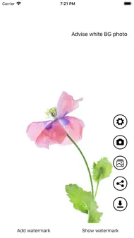 Invisible Watermark iphone bilder 2