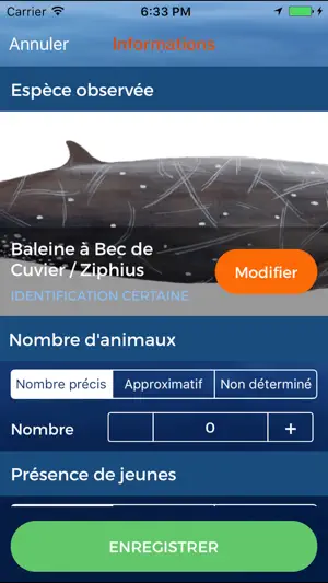 ObsEnMer screenshot 4