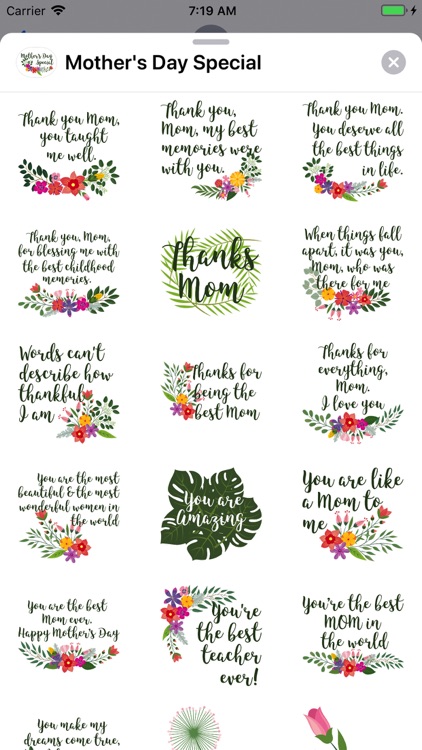 Mother's Day Special