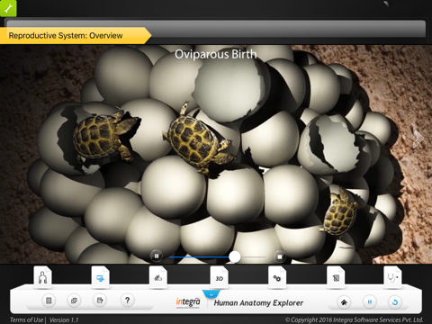 Human Anatomy - Reproductive screenshot 4