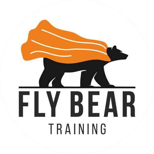 Fly Bear Training icon