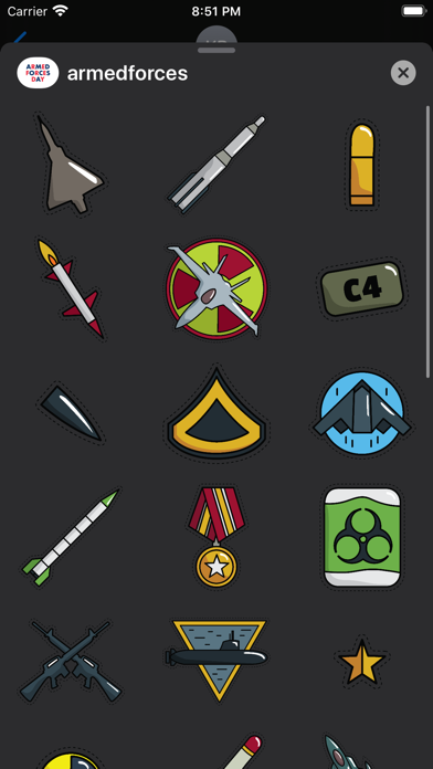 Screenshot #2 pour Armed Forces Day