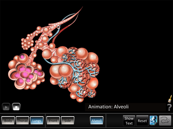 Screenshot #6 pour Respiration ID
