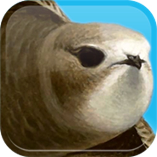 bird alert Pro icon