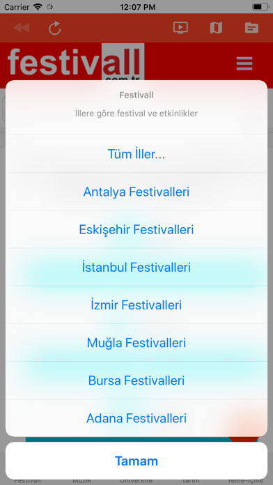 Screenshot #3 pour Festivall