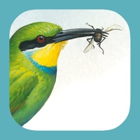 Sasol eBirds apk