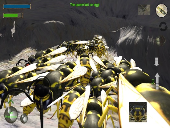 Screenshot #6 pour Wasp Nest Simulation Full