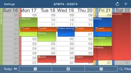 calengoo calendar iphone screenshot 3