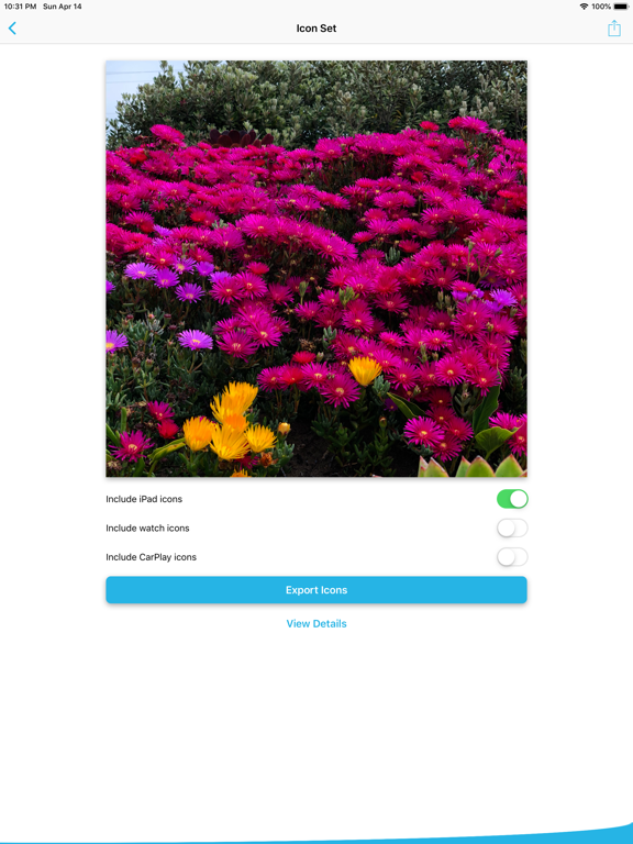 Screenshot #5 pour Icon Set