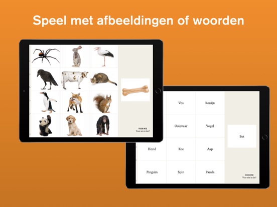 Lexico Vraagbegrip iPad app afbeelding 3