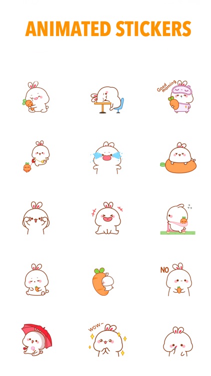 Bunny Daily Life