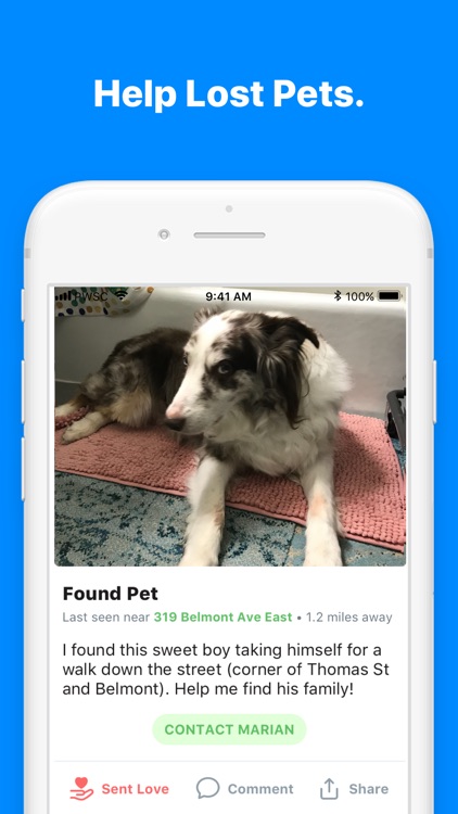 Pawscout Pet Community