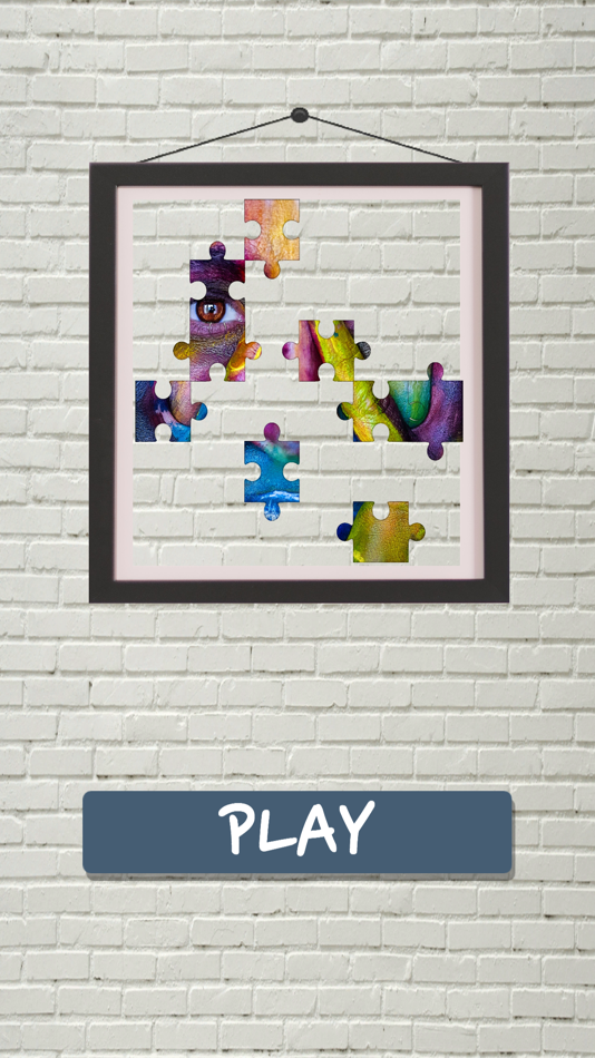 #2. Paint By Puzzle (iOS) 由: Texas PFCG Aplicativos Ltda