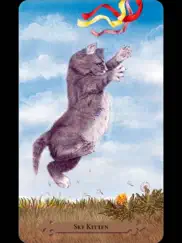 mystical cats tarot айпад изображения 2