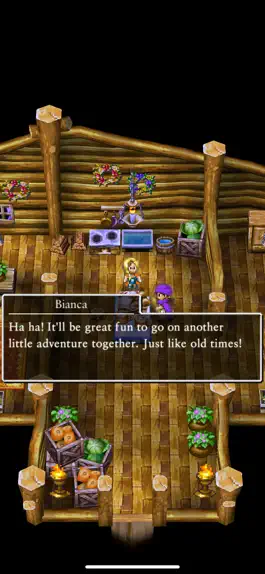 Game screenshot DRAGON QUEST V hack