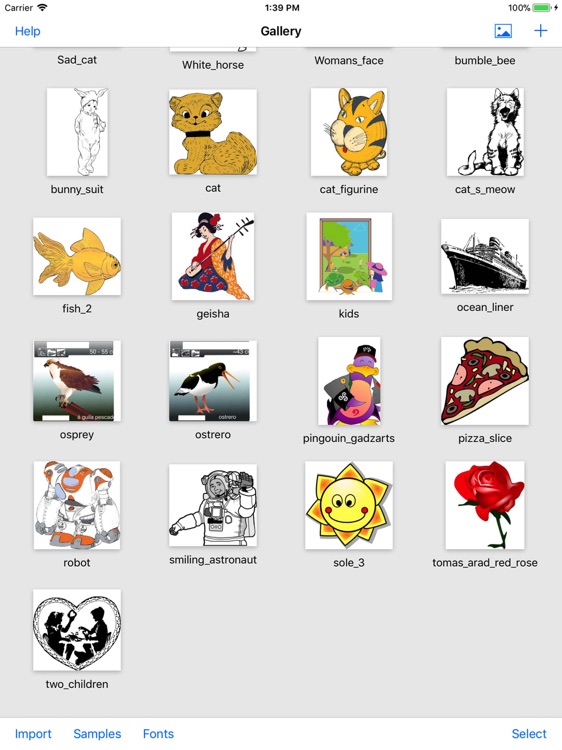 Artist for iPad Pro.