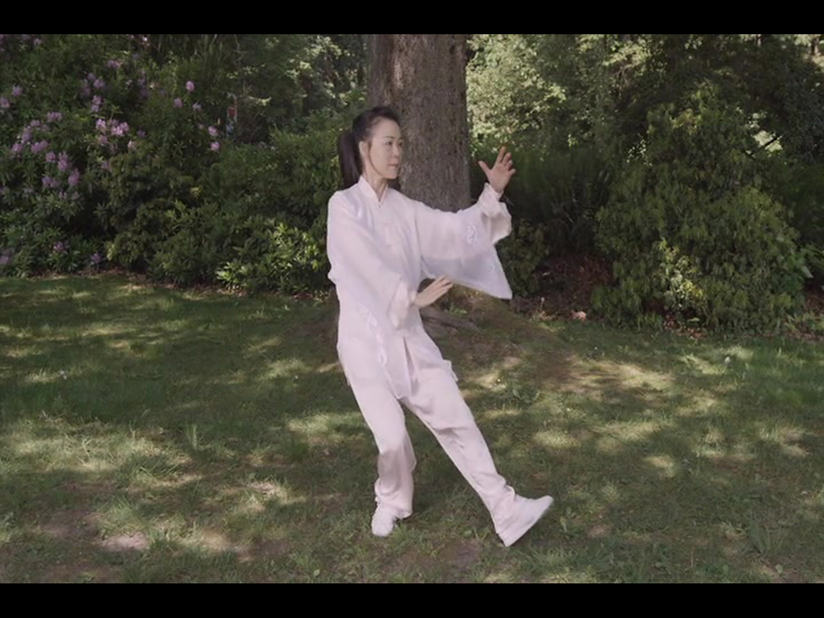 Tai Chi for Beginners 48 Form