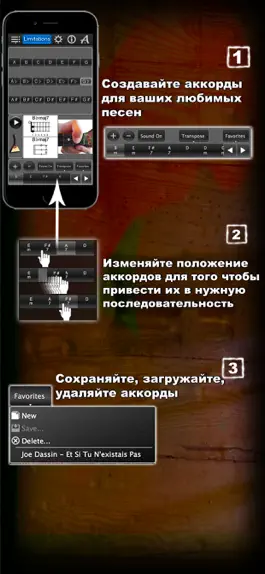 Game screenshot Аккорды для Балалайки лайт LR apk