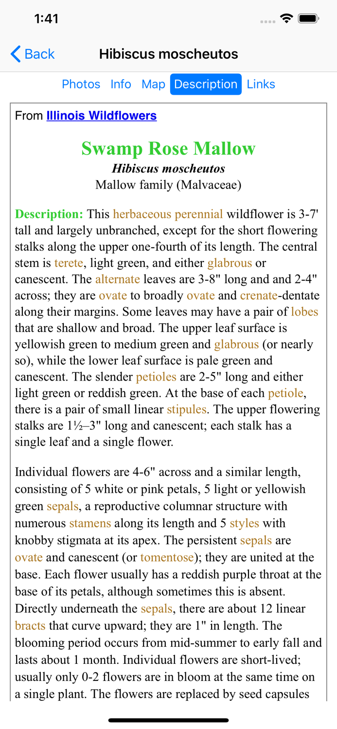 Kentucky Wildflowers