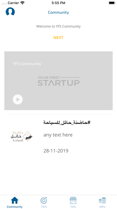 Your First Startup screenshot 2