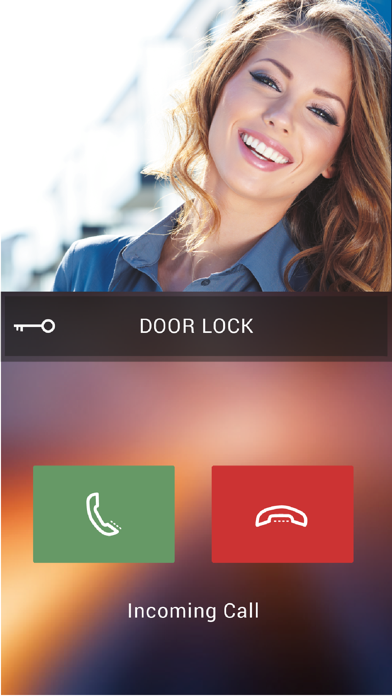 Door Entry CLASSE300X Screenshot