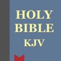 VerseWise Bible KJV app download