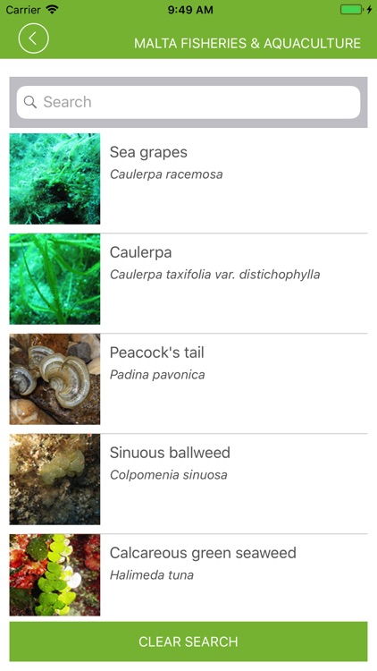 Malta Fisheries & Aquaculture screenshot-3