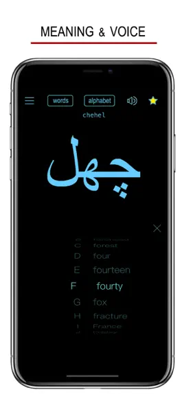 Game screenshot Persian Words & Writing hack