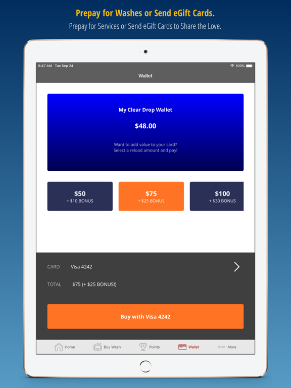Clear Drop Car Wash iPad screenshot 4 - Business app
