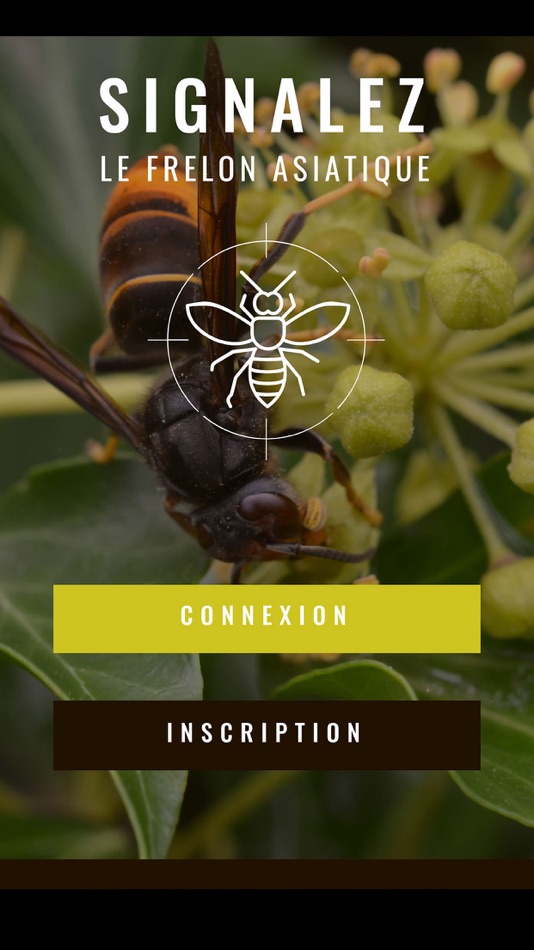 Frelon Asiatique - 1.0.4 - (iOS)