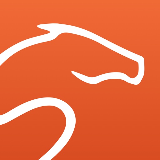 Equisense, progress in riding