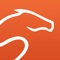 Free riding exercises and training programs with the 1st connected sensor that helps rider and horse progress