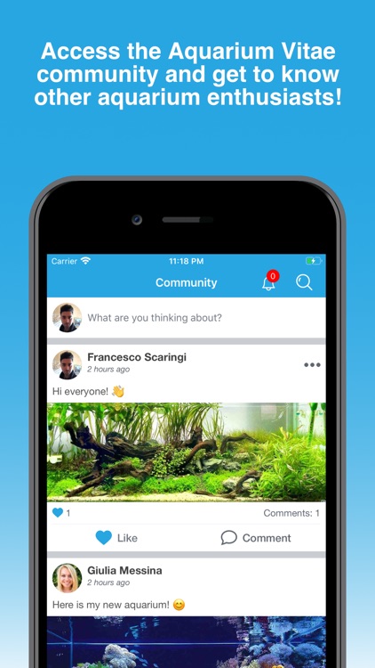 Aquarium Vitae screenshot-7