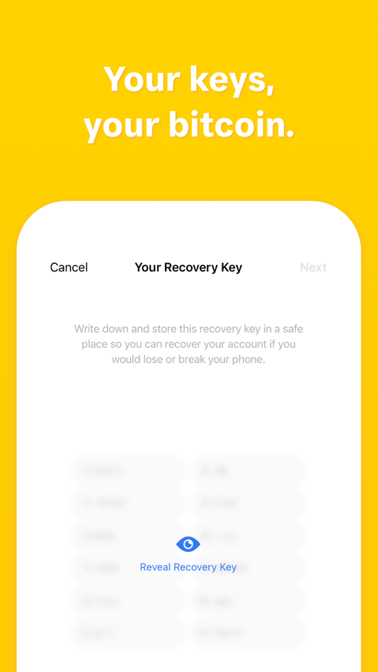 #4. Pine – Bitcoin Wallet (iOS) 由: Pine Enterprises AB