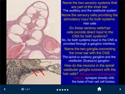 Neuroanatomy - SecondLook iPad image 3