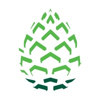 Pinecone Mobile App Reviews