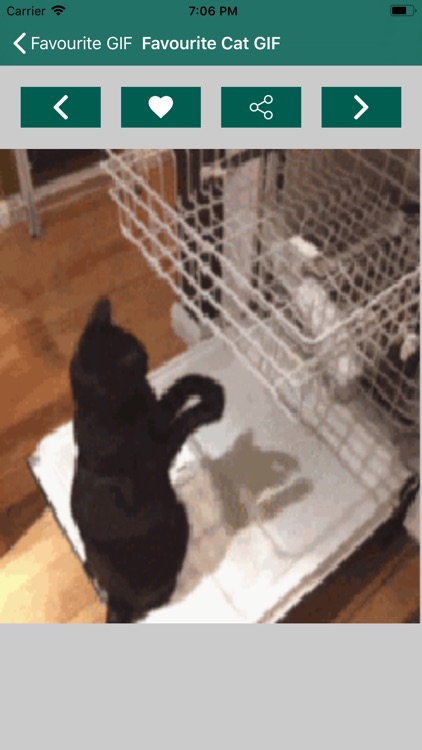 Cat Images - Random screenshot-6