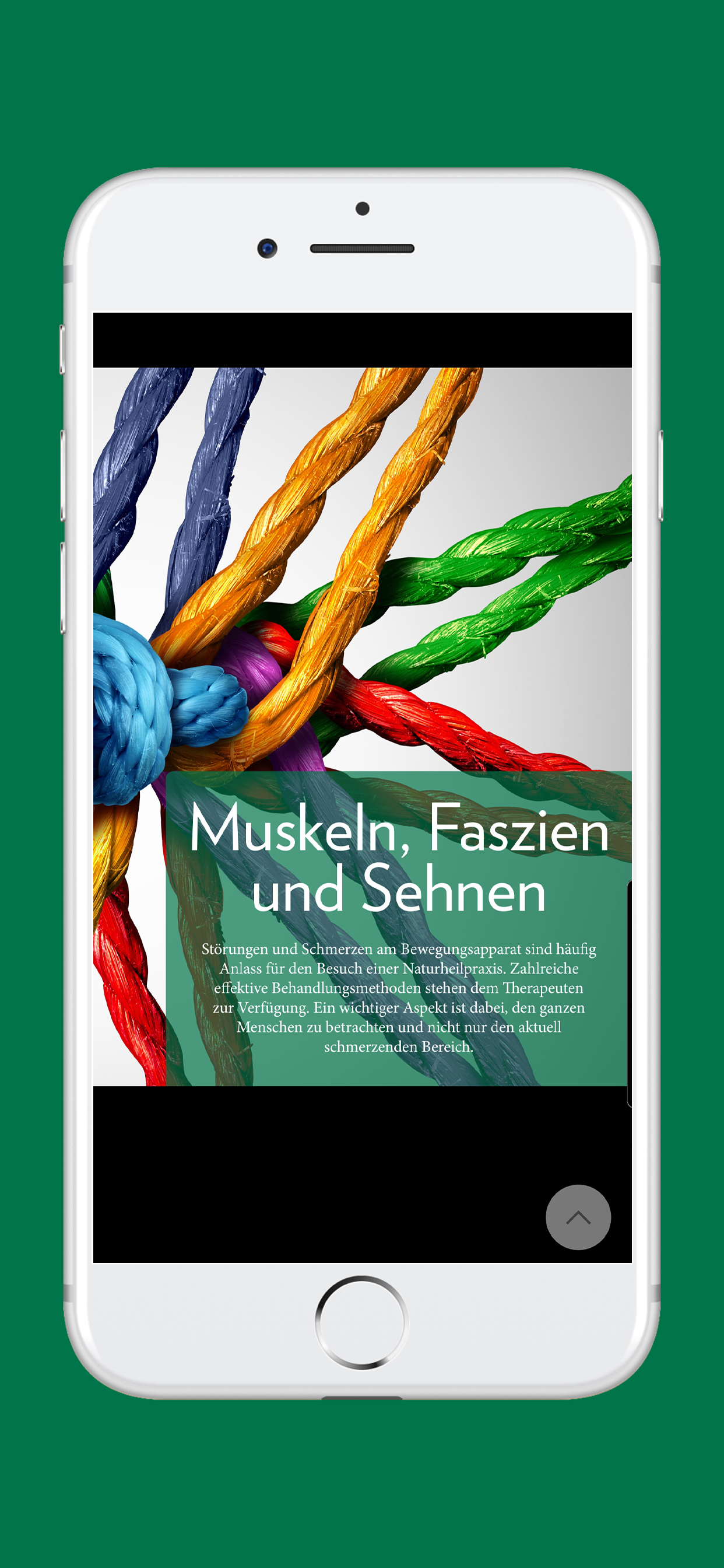 Naturheilpraxis Zeitschrift