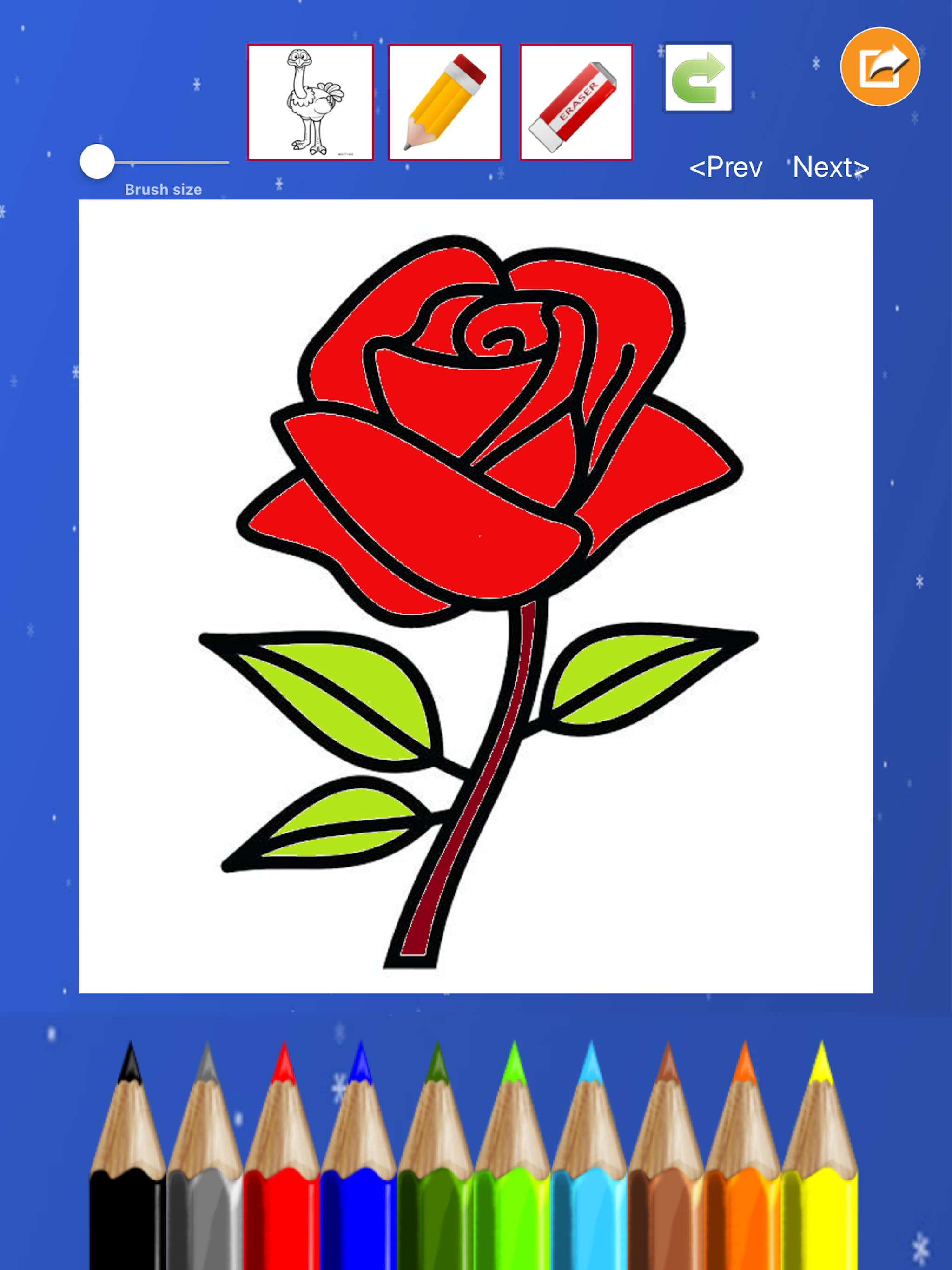 Flower Coloring Drawing book