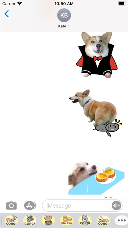 Fluffy cute Corgi Stickers screenshot-3