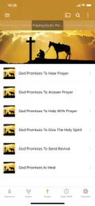 Tom Williams Ministries screenshot #2 for iPhone