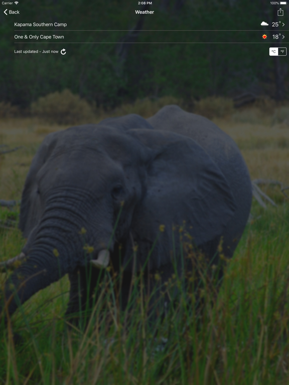 Black Tomato iPad screenshot 5 - Travel app