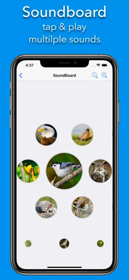 Game screenshot 200+ Sounds of Birds apk