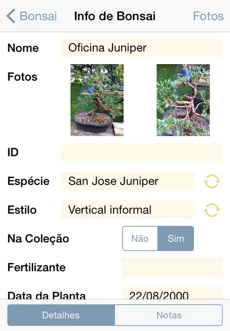 Álbum Bonsai