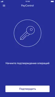 paycontrol classic айфон картинки 1